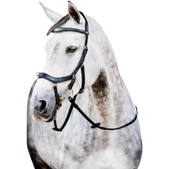 Hoofdstellen Horseware Micklem 2