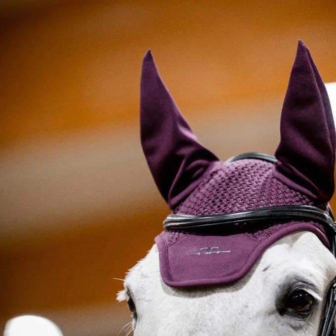 Paardenmuts Alessandro Albanese