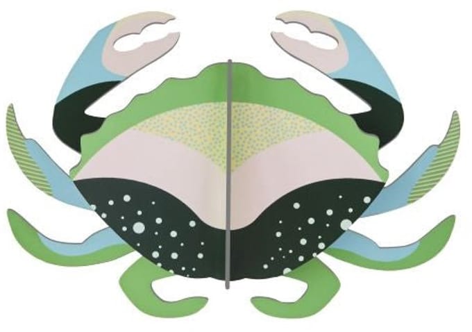 Zeedieren Klein - Mini krab