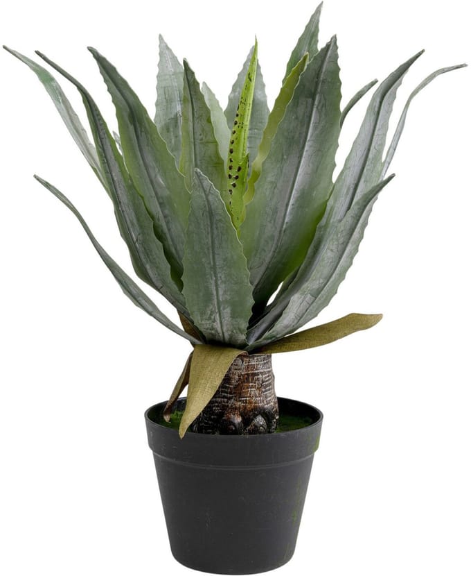 Kunstplanten agave 40cm Kare Design