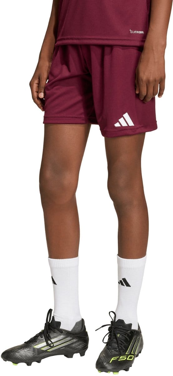 Adidas Performance Entrada26 Short Kids - Kinderen - Bordeaux