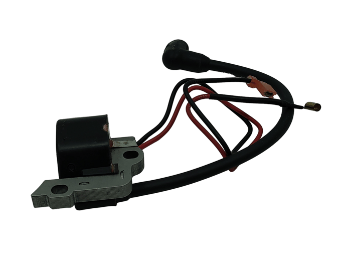Iginition module