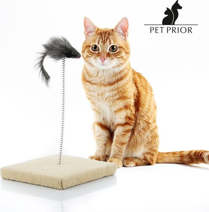 Pet Prior Kattenpaal met Muis