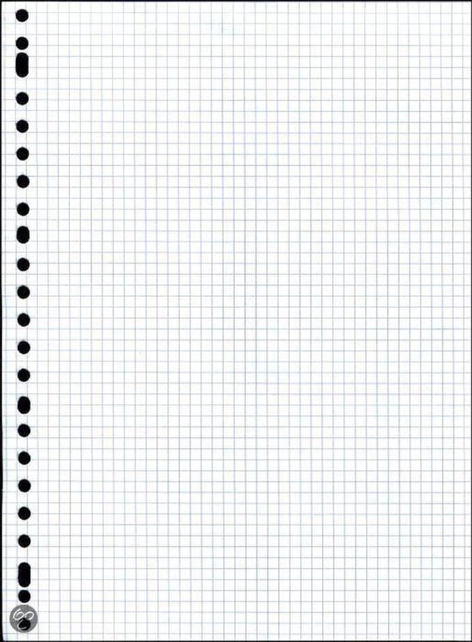 Benza - Ringbandblok - Wiskundepapier Ruit 5 mm A4 - 23 ringen