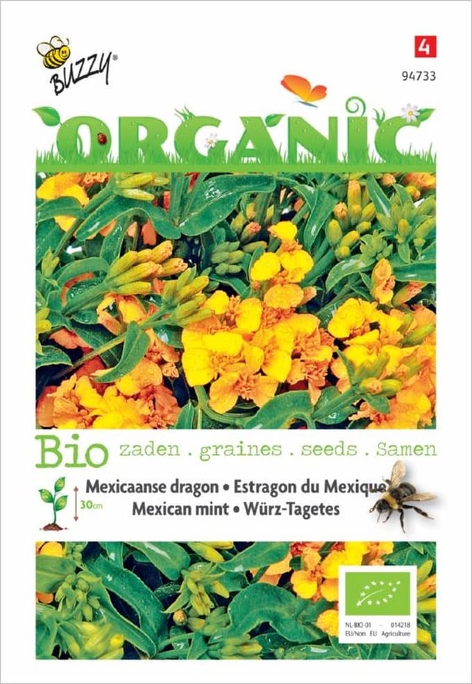Biologische Tagetes Lucida, Mexicaanse dragon