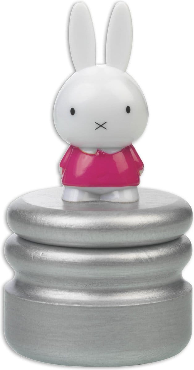 Bambolino Toys Nijntje Tandendoosje - Roze