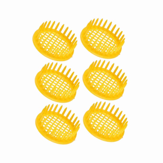 6 Pièces Boîte d'Élevage de Reine Cellule Équipement d'Apiculture yellow