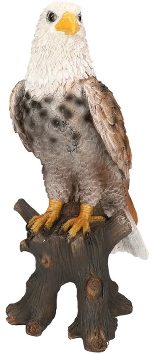 Dierenbeeld vogel adelaar/arend - 36 cm - roofvogels - polystone - binnen/buiten