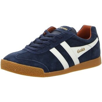 Harrier Suede sneakers