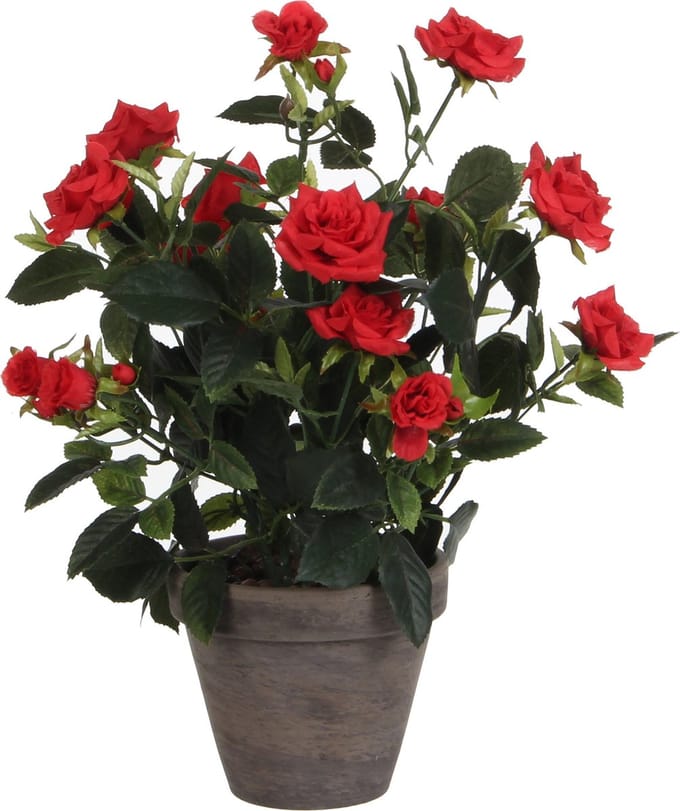 Mica Decorations Rozenstruik Kunstplant in Bloempot Stan - H33 x Ø25 cm - Rood