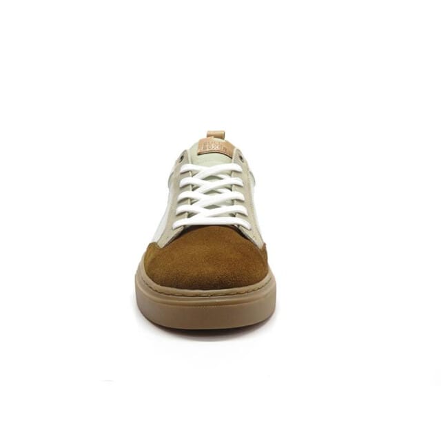 Bullboxer 213n20212