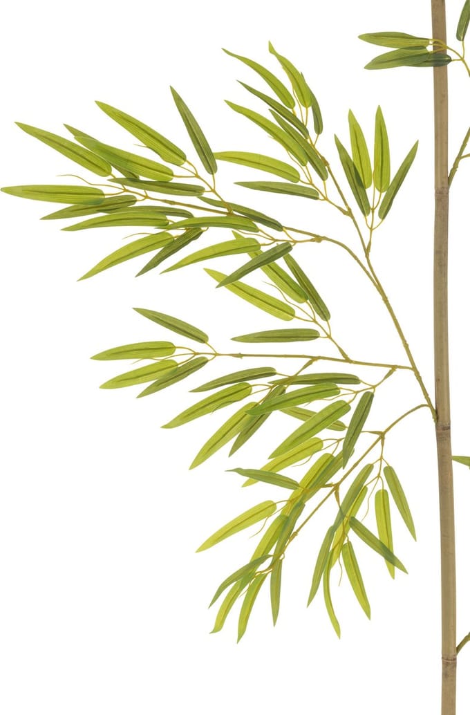 J-Line bambou in Pot - kunststof - groen