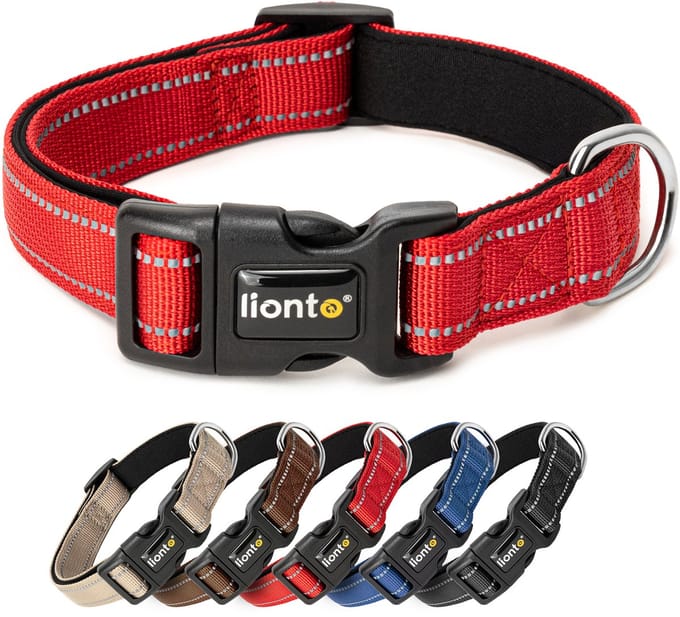 lionto reflecterende hondenhalsband, verstelbaar 30-40 cm S rood