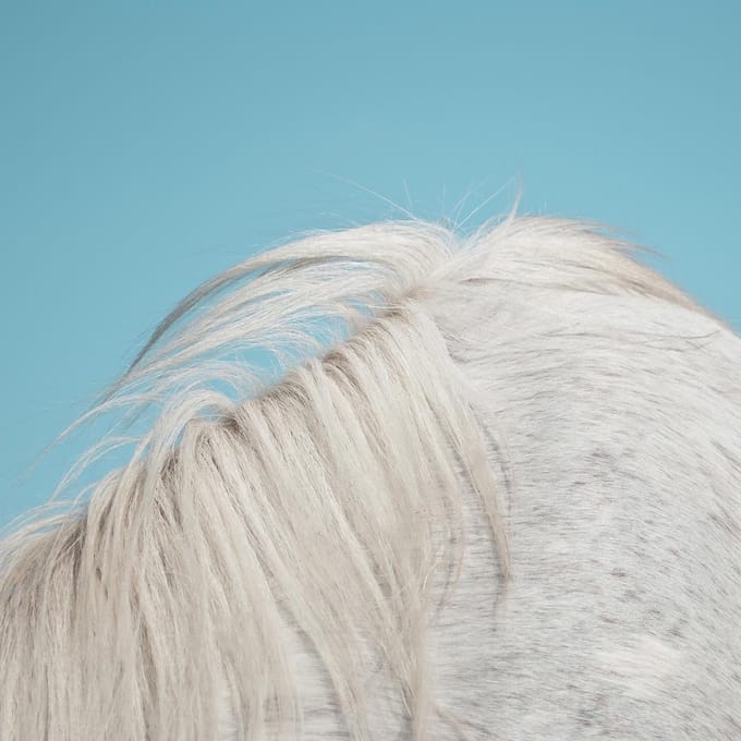 Widowspeak - All Yours (CD)
