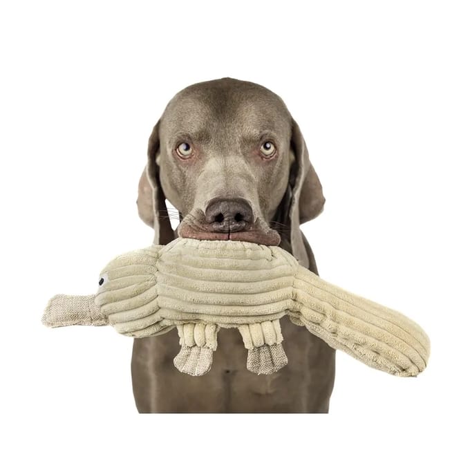 Pluche speelgoed voor honden Nobby Pet Schnabeltier