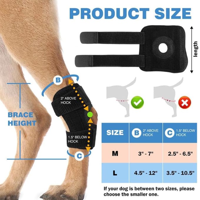 Genouillère pour chien adaptée à la récupération de la perte de stabilité causée par black