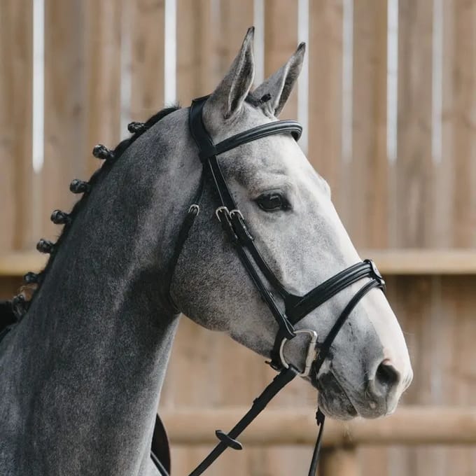 Gekruiste paardenneusriem Jump'In Evolution Origin
