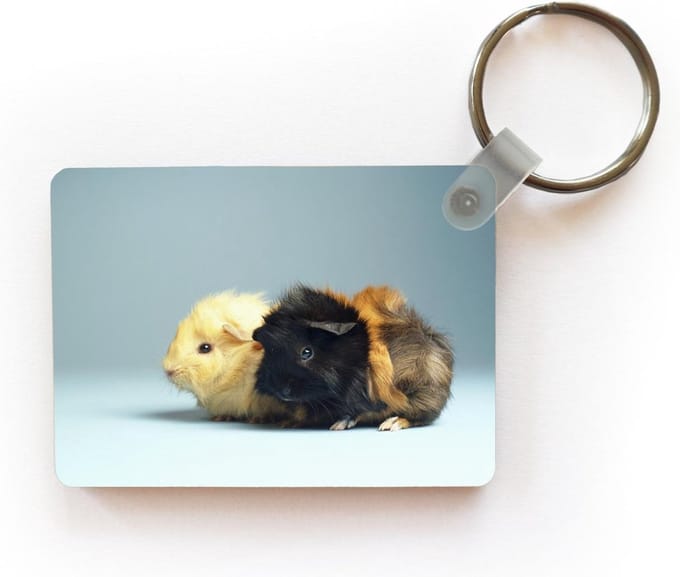 Sleutelhanger - Twee kleine cavia's - Uitdeelcadeautjes - Plastic