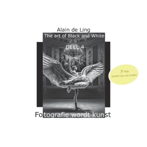 The Art Of Black And White / 4 - Alain De Ling