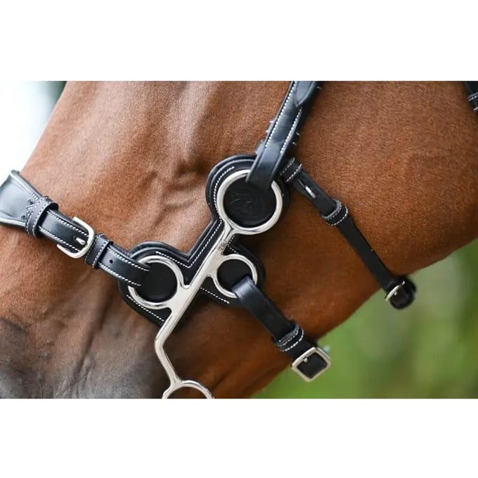 Hackamore Takken van Leer Jump'In
