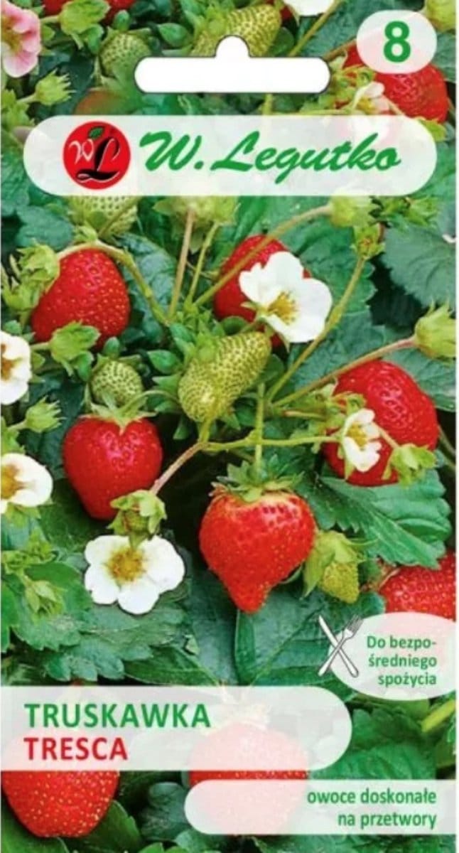 W.Legutko - Aardbeien Tresca - zaadjes