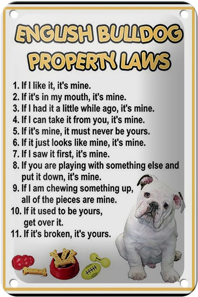 Blechschild Spruch 12x18cm english bulldog property laws