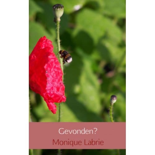 Gevonden? - Monique Labrie