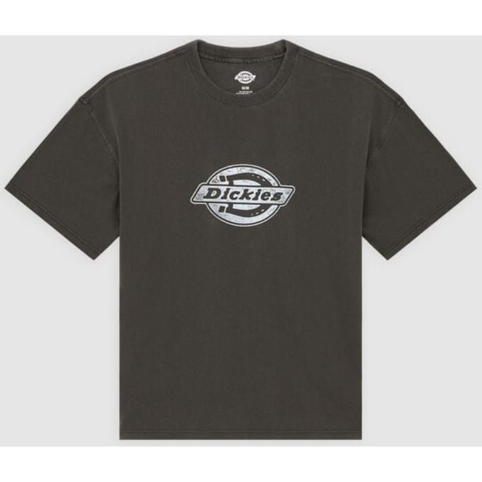 Dickies T-shirt - PLAINVILLE TEE - S tot XXL - voor Mannen - zwart