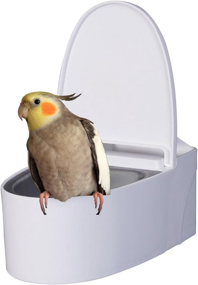 Vogel Toilet - Zindelijkheidstrainer - Vogel Training - Afneembaar Ontwerp - 13.9 cm Lengte - Wit