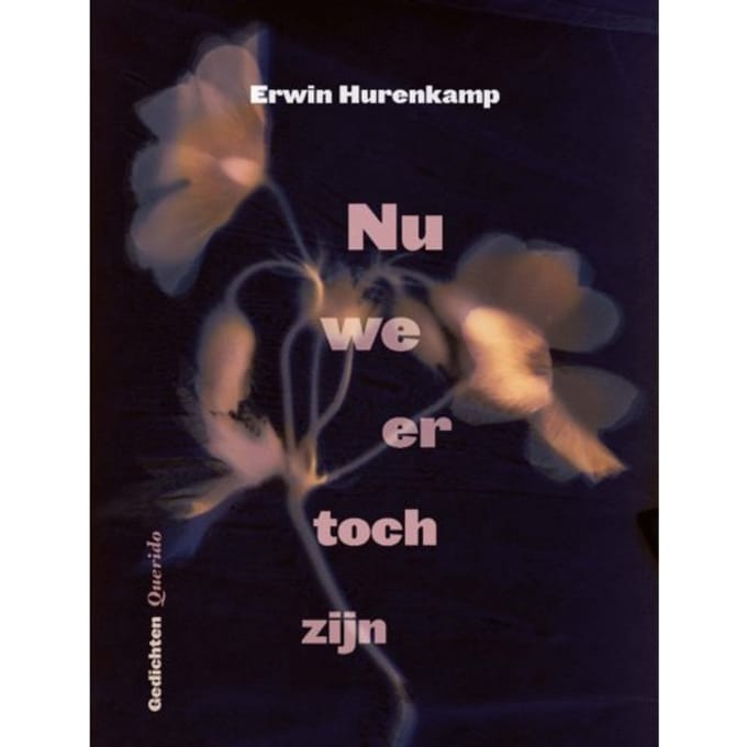 Nu We Er Toch Zijn - Erwin Hurenkamp