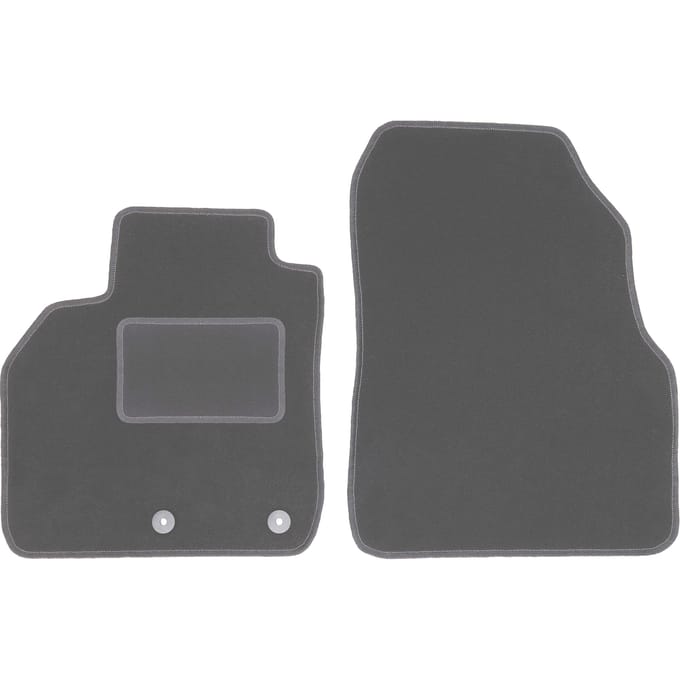 Automatten voor: Renault Scenic II minivan (2003-2009)