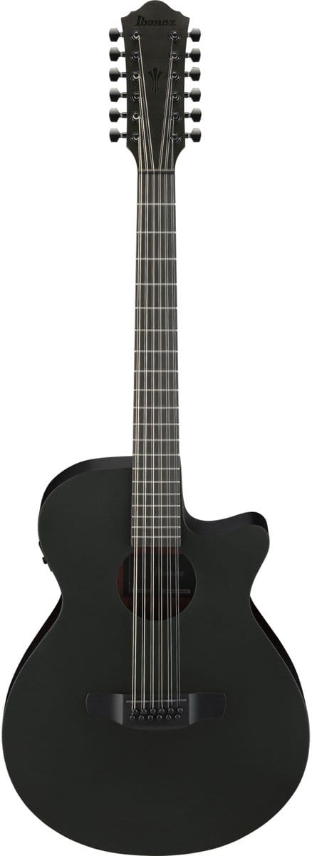 Ibanez AEG1221-BOT 12-String - 12-String akoestische gitaar
