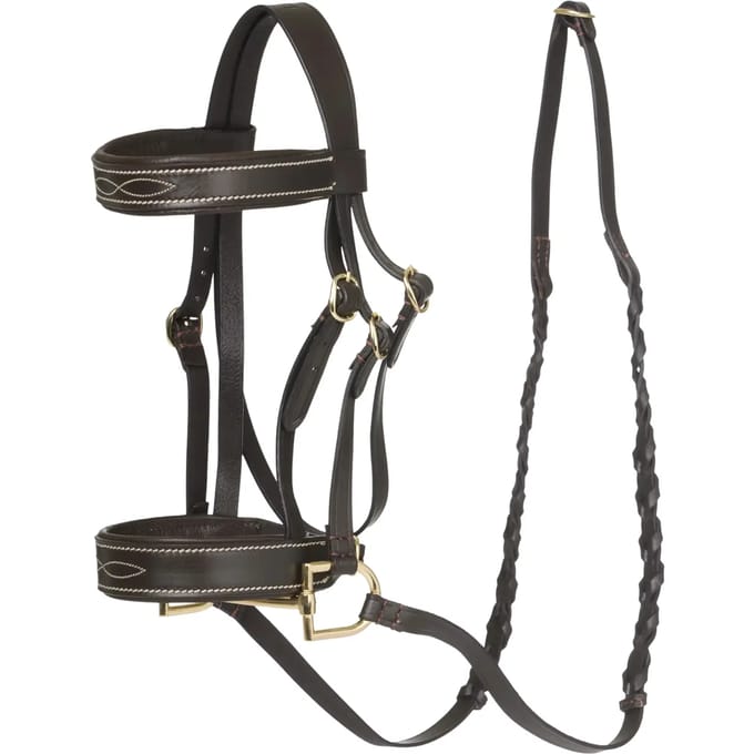 LEMIEUX HOBBY HORSE HUNTER HOOFDSTEL Bruin