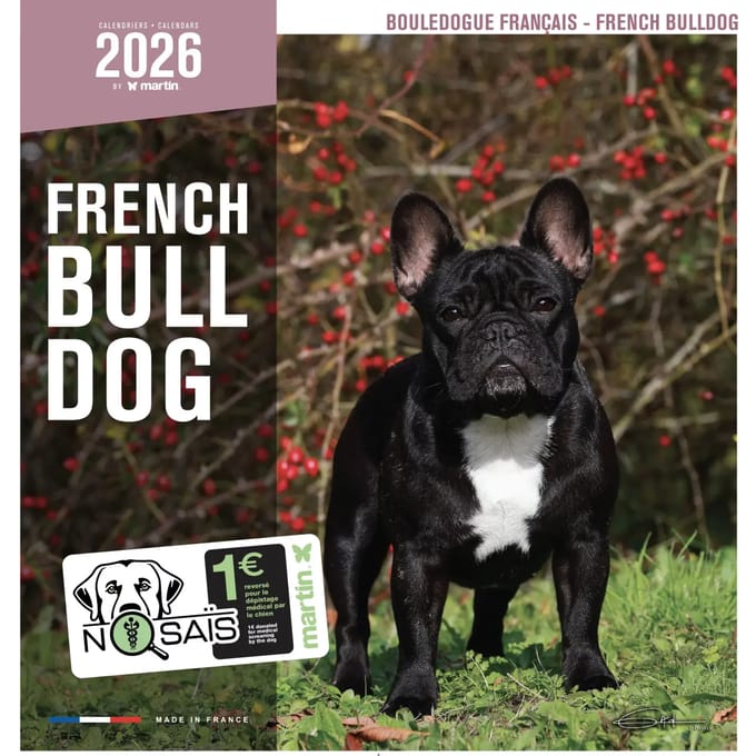 Kalender Martin Sellier Buledogue Francais