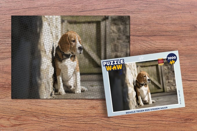Puzzel Beagle tegen een stenen muur - Legpuzzel - Puzzel 1000 stukjes volwassenen