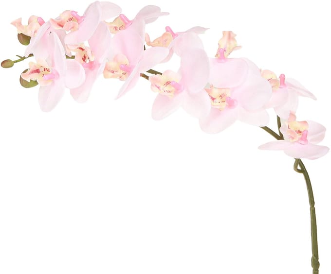 Kunstorchideeën Lichtroze Kunstbloemen Real Touch 58cm 2st, 2 Stück