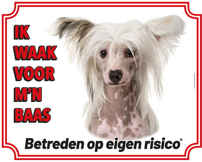 Chinese Naakthond Waakbord - Ik waak voor
