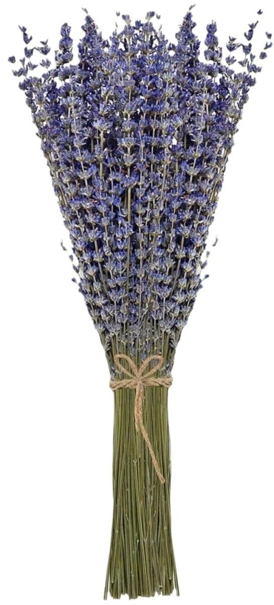 Dailygoods - Lavender Secched Bundle 100 Stelen - Gedroogde Lavendel voor Decoratie