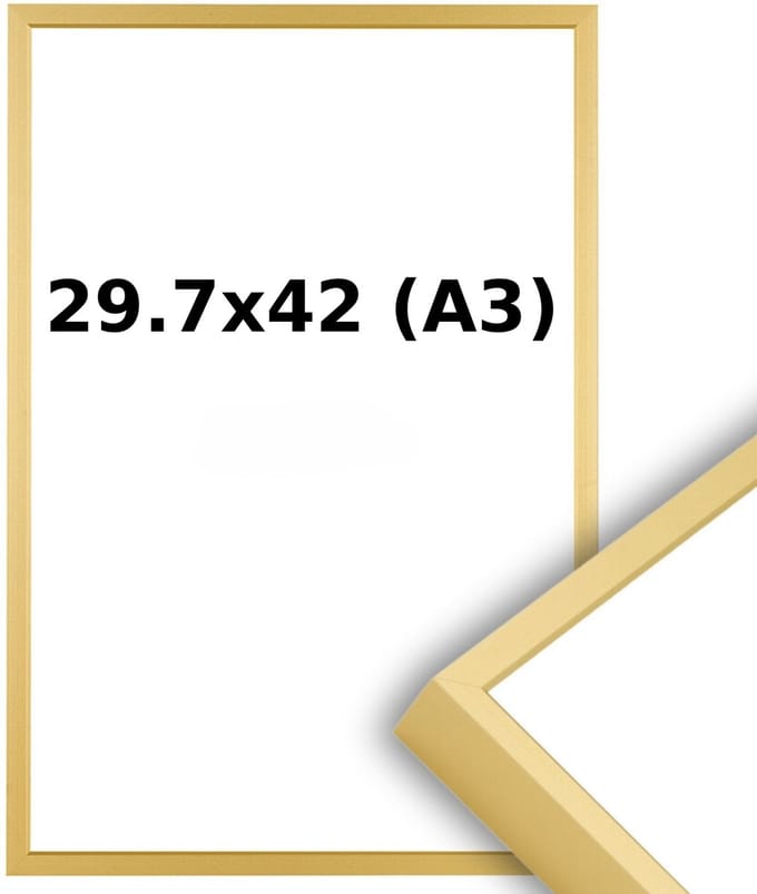 Aluminium Wissellijst A3 29.7 x 42 Mat Champagne Goud - Ontspiegeld Glas - Professional