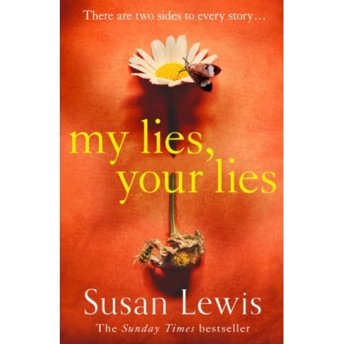 My Lies, Your Lies - Susan Lewis