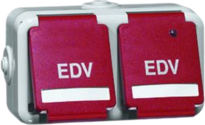 PEHA D6632WABGLKNAROTEDV PEH WCD OPB IP54 2-VOUD RA 2-P - wandcontactdoos