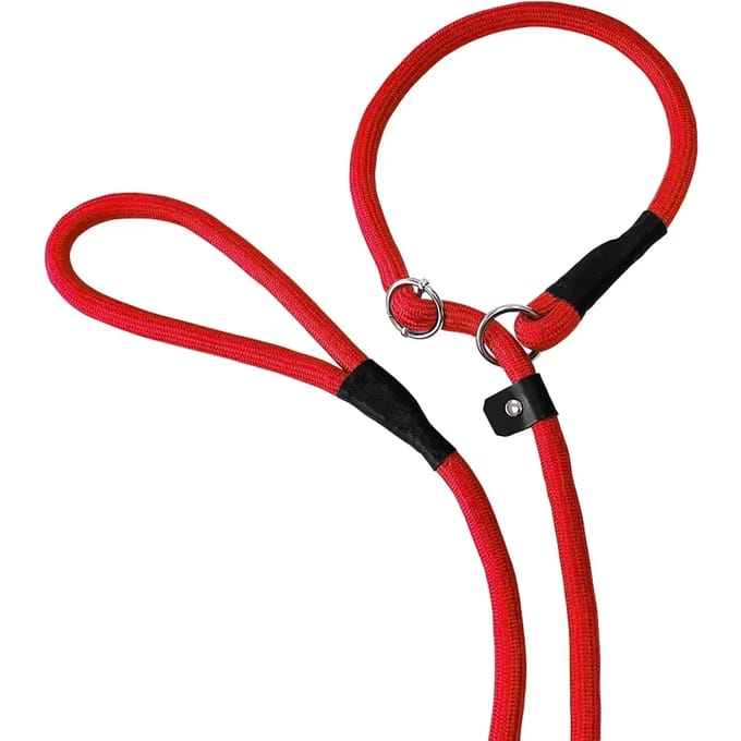 Hondenriem voor retriever Nobby Pet Fun Uni