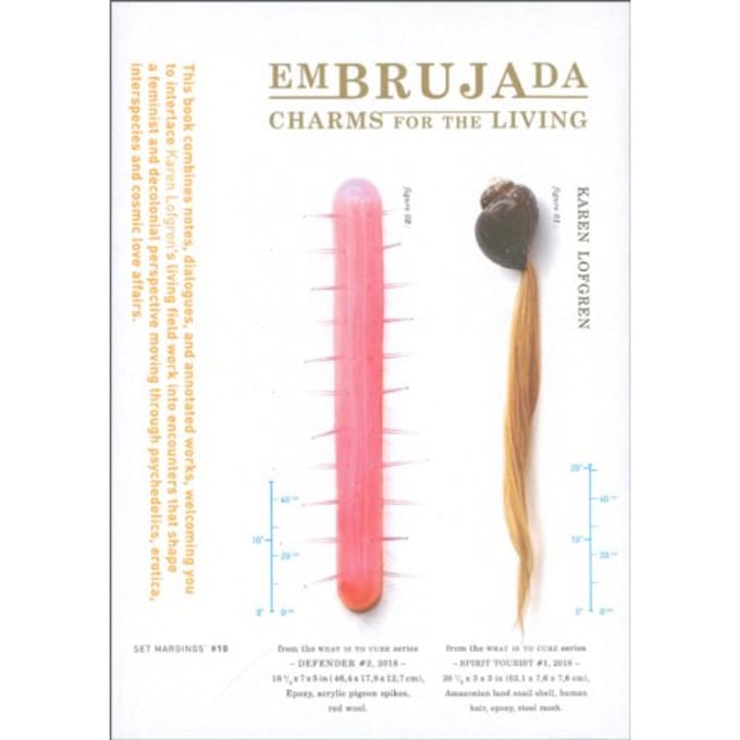 Embrujada - Karen Lofgren