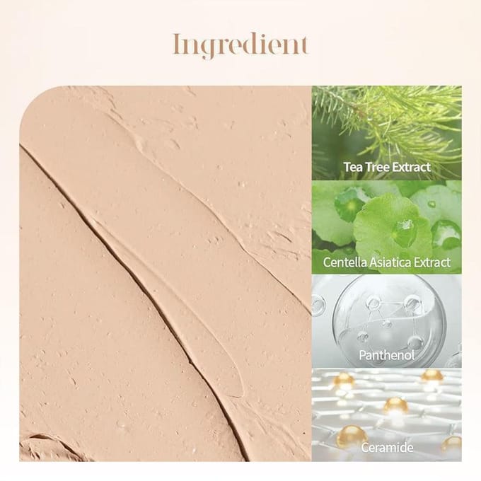 [dasique] Pro Concealer Palette 9g (2 Colors) 01 Cover white