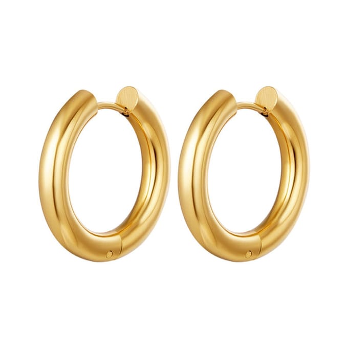 Bijoutheek Oorringen Staal Goud