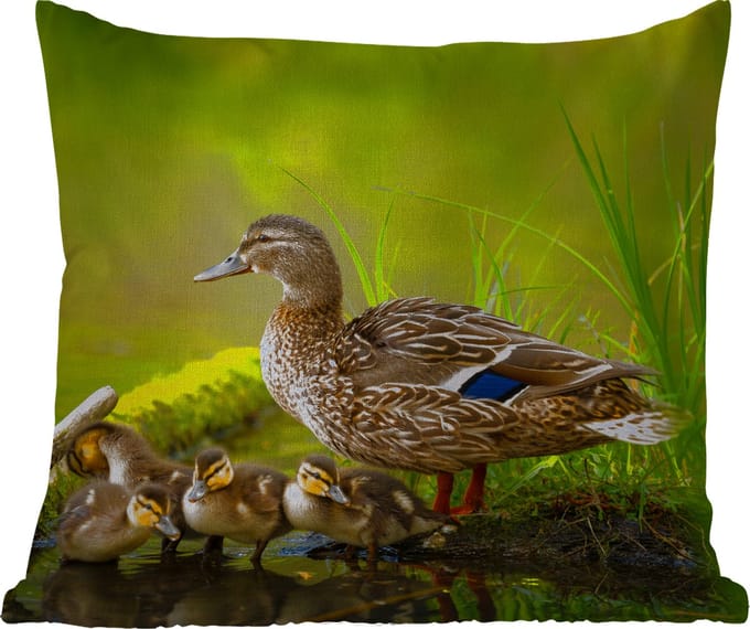 Tuinkussen - Eend - Vogels - Water - Tak - Mos - 40x40 cm - Weerbestendig