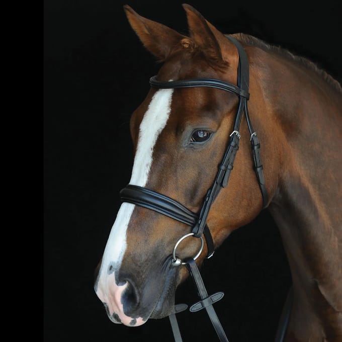 Hoofdstellen Weatherbeeta Collegiate Mono Crown