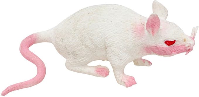 Chaks Stretchy nep rat 17 x 14 cm - wit - Horror/griezel thema decoratie