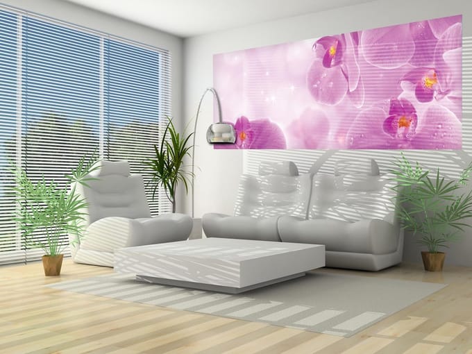 Flowers Orchids Photo Wallcovering