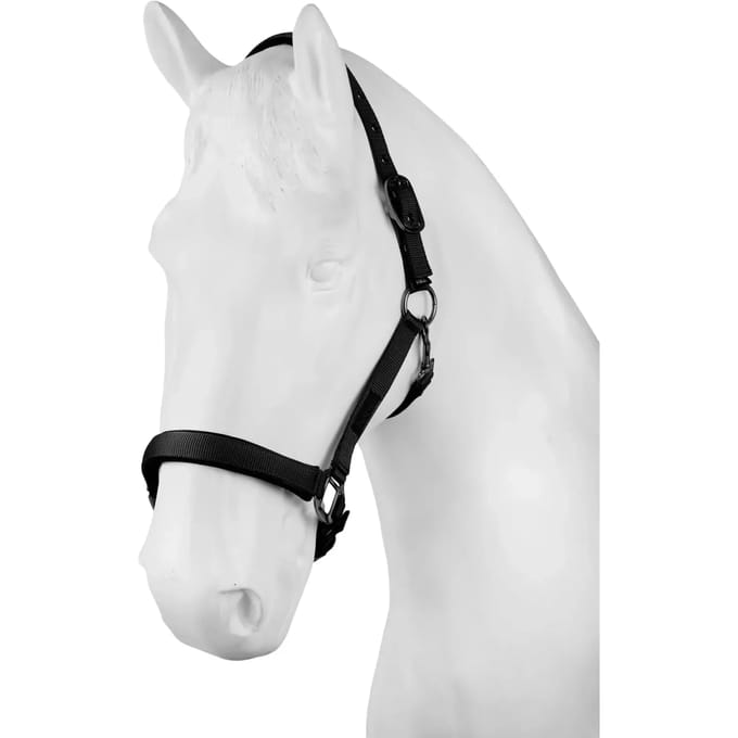 Halster voor paarden Horze